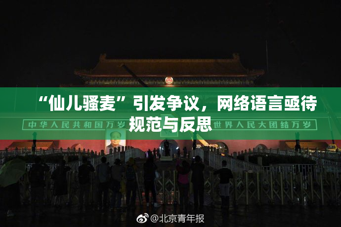“仙儿骚麦”引发争议，网络语言亟待规范与反思