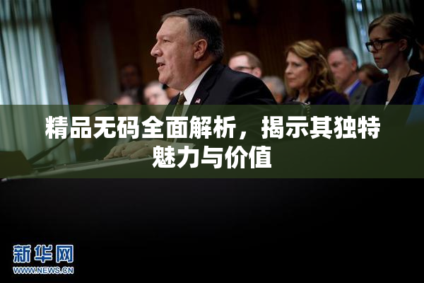 精品无码全面解析，揭示其独特魅力与价值