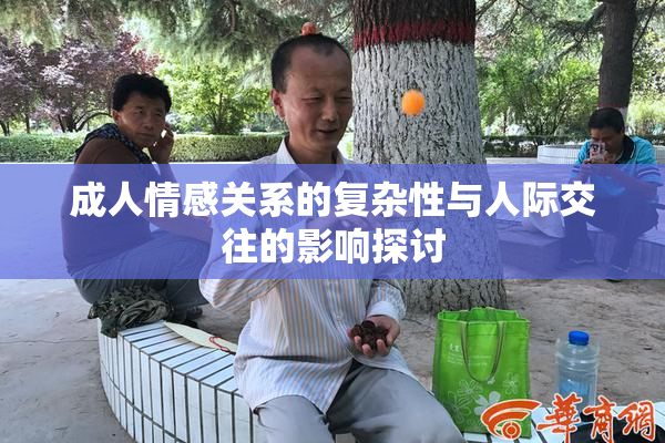 成人情感关系的复杂性与人际交往的影响探讨