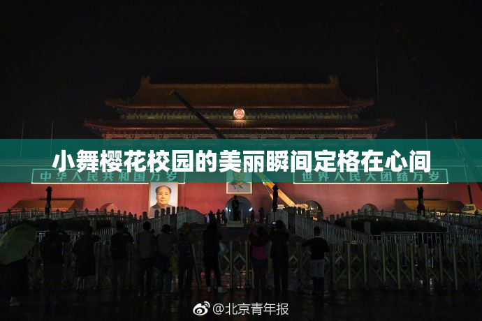 小舞樱花校园的美丽瞬间定格在心间