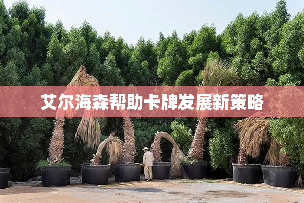 艾尔海森帮助卡牌发展新策略