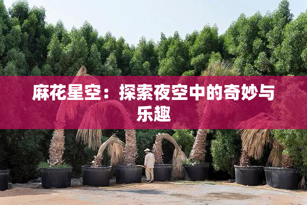 麻花星空：探索夜空中的奇妙与乐趣