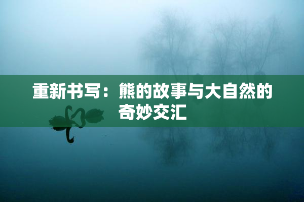 重新书写：熊的故事与大自然的奇妙交汇
