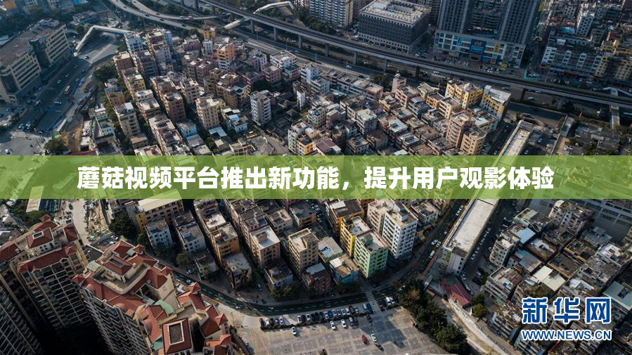 蘑菇视频平台推出新功能，提升用户观影体验