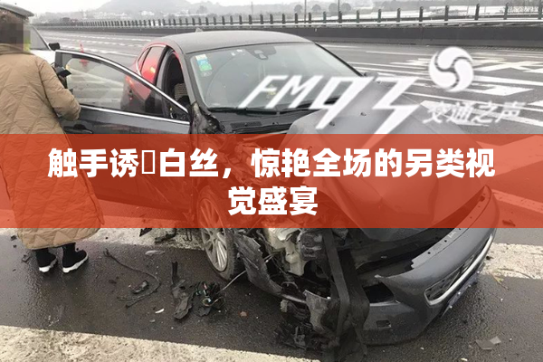 触手诱奷白丝，惊艳全场的另类视觉盛宴