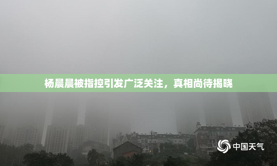 杨晨晨被指控引发广泛关注，真相尚待揭晓