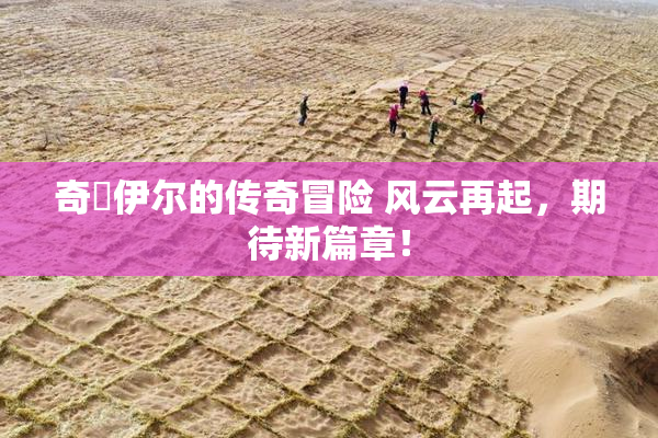 奇犽伊尔的传奇冒险 风云再起，期待新篇章！