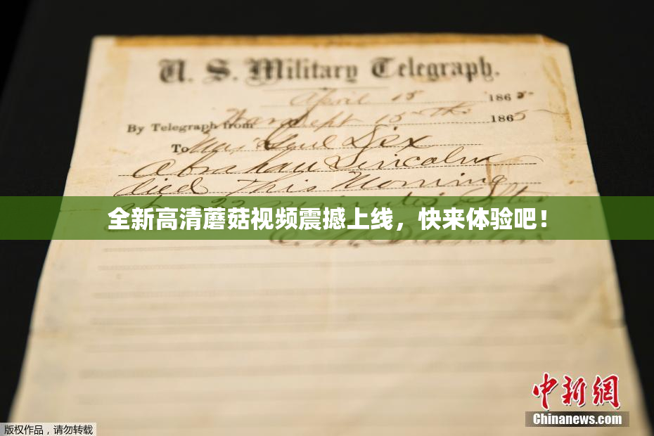全新高清蘑菇视频震撼上线，快来体验吧！