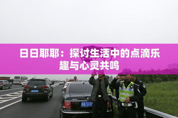 日日耶耶：探讨生活中的点滴乐趣与心灵共鸣