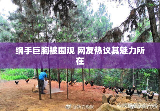 纲手巨胸被围观 网友热议其魅力所在