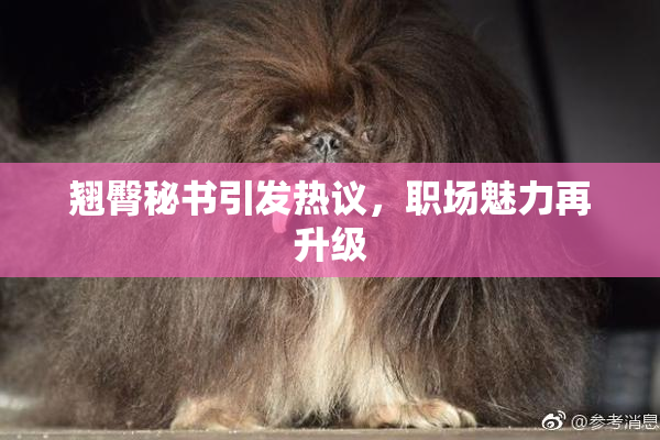 翘臀秘书引发热议，职场魅力再升级