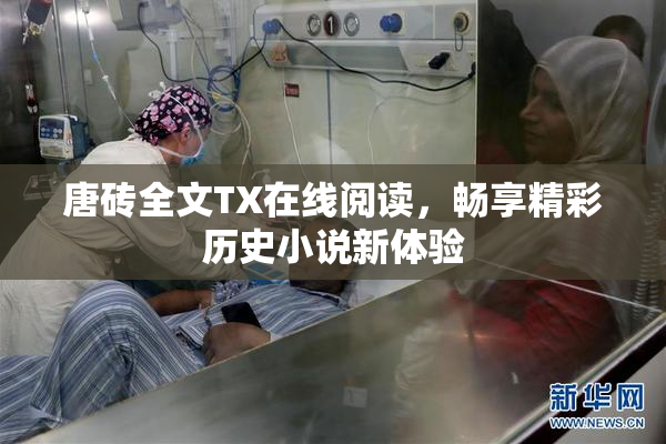 唐砖全文TX在线阅读，畅享精彩历史小说新体验