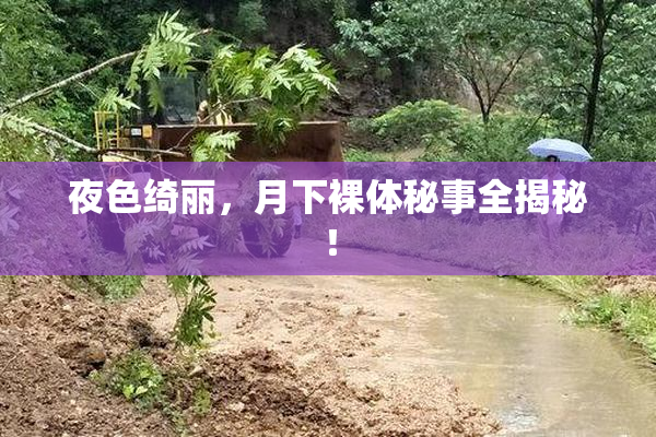 夜色绮丽，月下裸体秘事全揭秘！