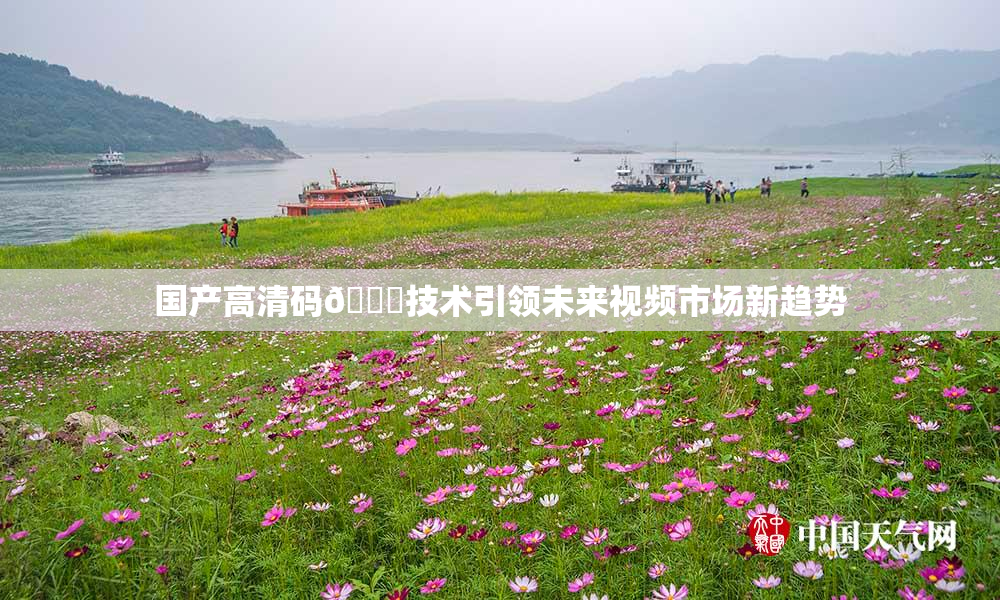 国产高清码🔞技术引领未来视频市场新趋势