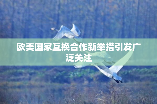 欧美国家互换合作新举措引发广泛关注