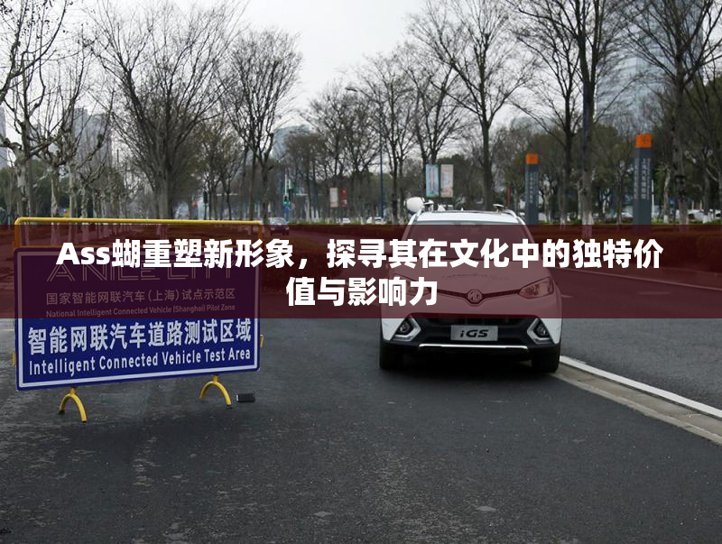 Ass蝴重塑新形象，探寻其在文化中的独特价值与影响力
