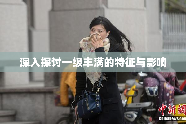 深入探讨一级丰满的特征与影响