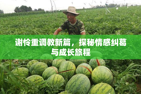 谢怜重调教新篇，探秘情感纠葛与成长旅程