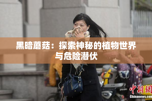 黑暗蘑菇：探索神秘的植物世界与危险潜伏
