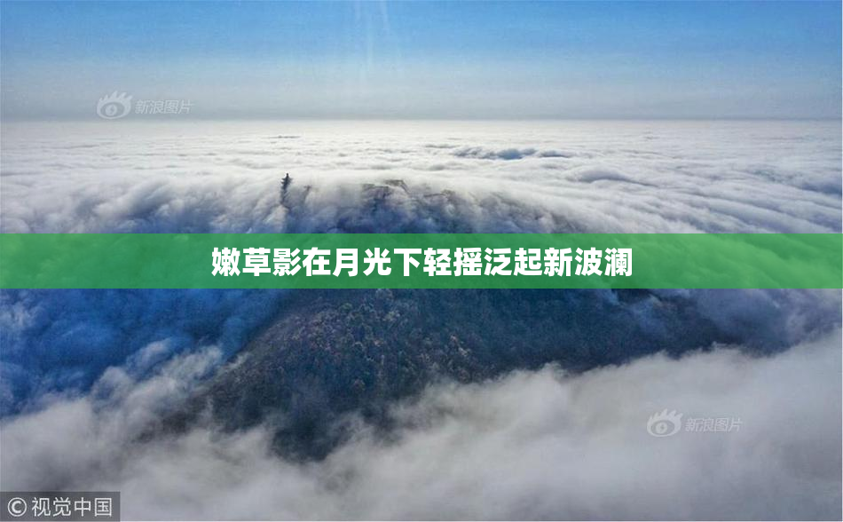 嫩草影在月光下轻摇泛起新波澜