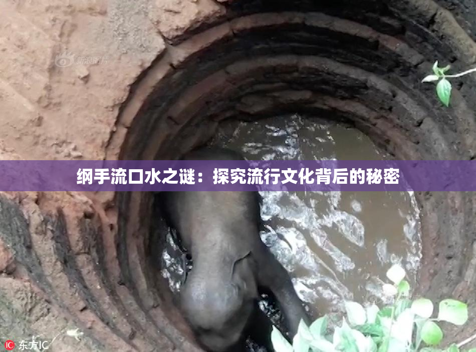 纲手流口水之谜：探究流行文化背后的秘密