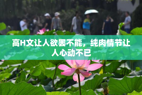 高H文让人欲罢不能，纯肉情节让人心动不已