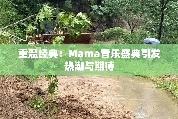 重温经典：Mama音乐盛典引发热潮与期待