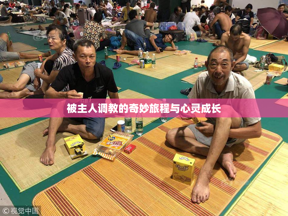 被主人调教的奇妙旅程与心灵成长