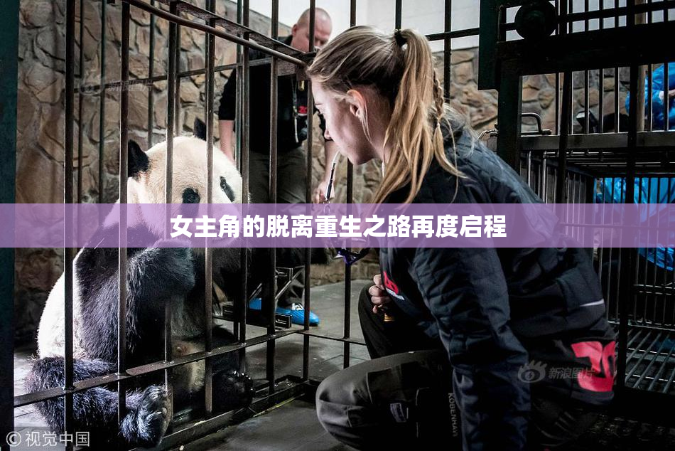 女主角的脱离重生之路再度启程
