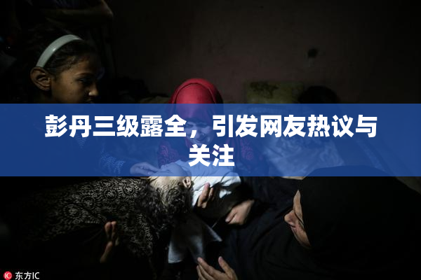 彭丹三级露全，引发网友热议与关注