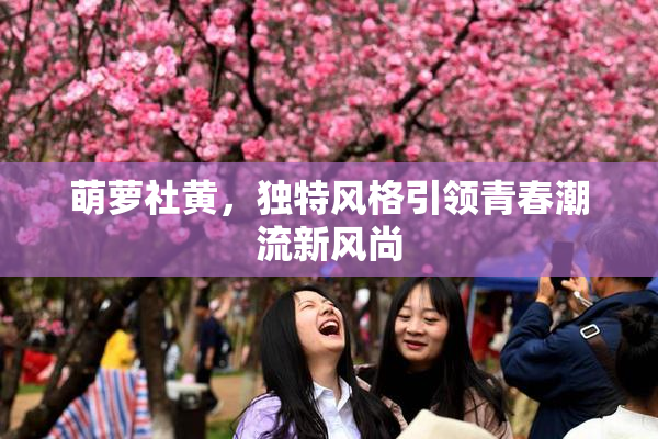 萌萝社黄，独特风格引领青春潮流新风尚