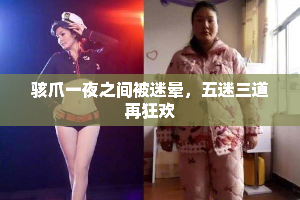 骇爪一夜之间被迷晕，五迷三道再狂欢