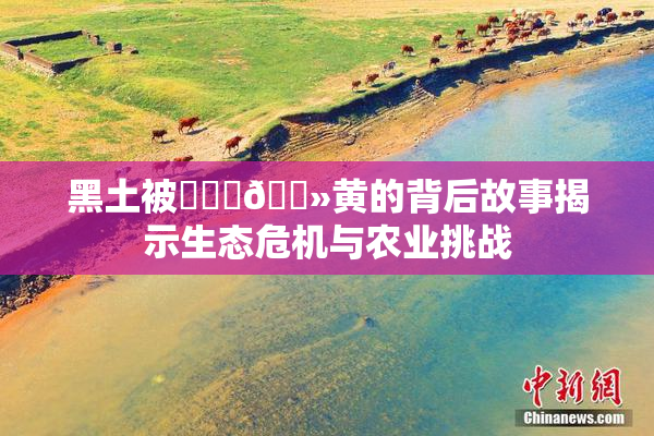 黑土被❌‌‌🐻黄的背后故事揭示生态危机与农业挑战