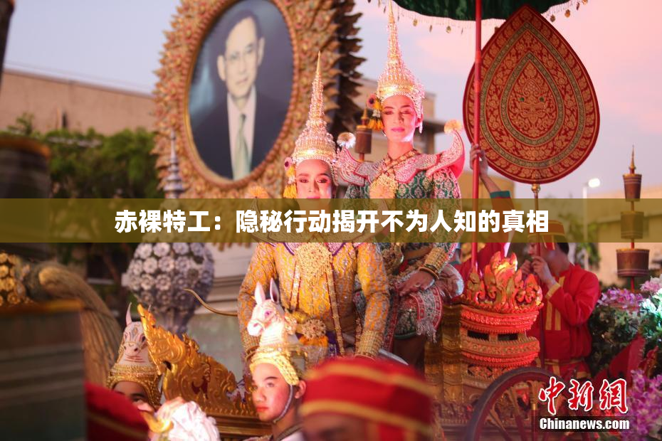 赤裸特工：隐秘行动揭开不为人知的真相
