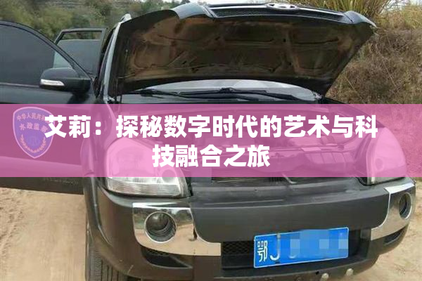 艾莉：探秘数字时代的艺术与科技融合之旅