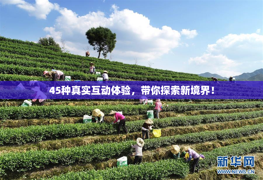 45种真实互动体验，带你探索新境界！