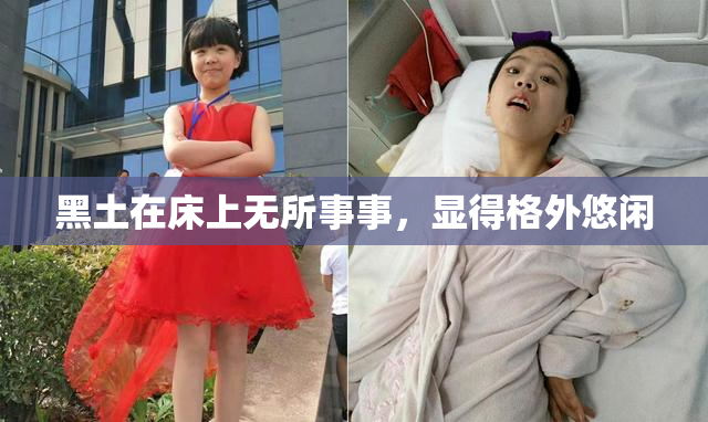黑土在床上无所事事，显得格外悠闲