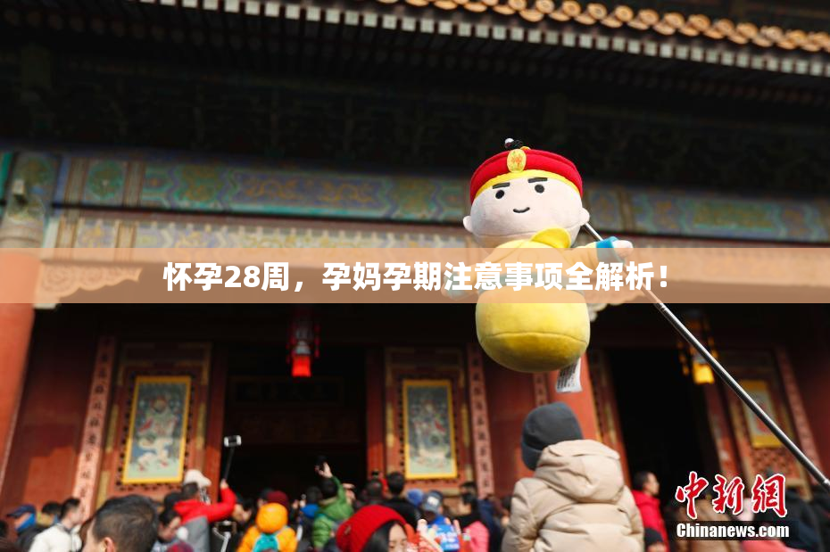 怀孕28周，孕妈孕期注意事项全解析！