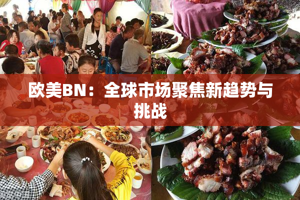 欧美BN：全球市场聚焦新趋势与挑战