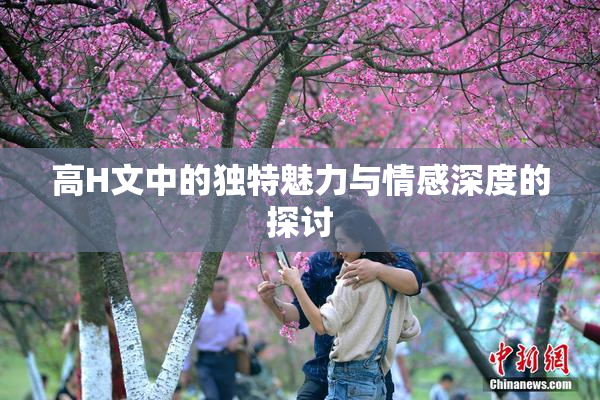 高H文中的独特魅力与情感深度的探讨