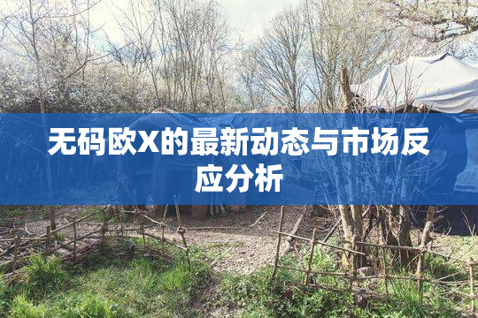 无码欧X的最新动态与市场反应分析