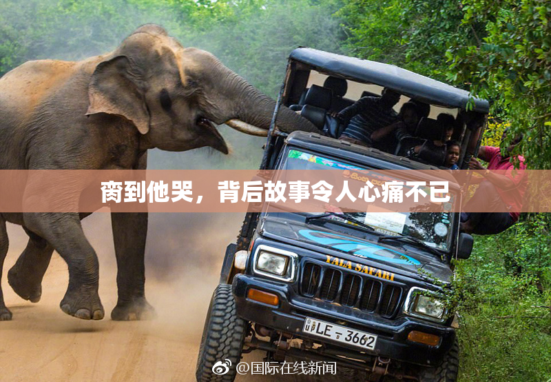 脔到他哭，背后故事令人心痛不已