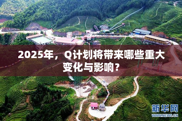 2025年，Q计划将带来哪些重大变化与影响？