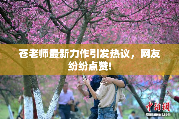苍老师最新力作引发热议，网友纷纷点赞!