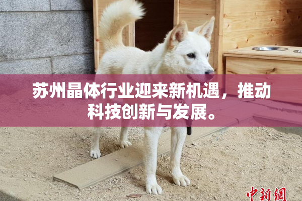 苏州晶体行业迎来新机遇，推动科技创新与发展。