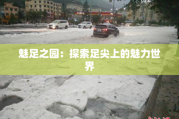 魅足之园：探索足尖上的魅力世界