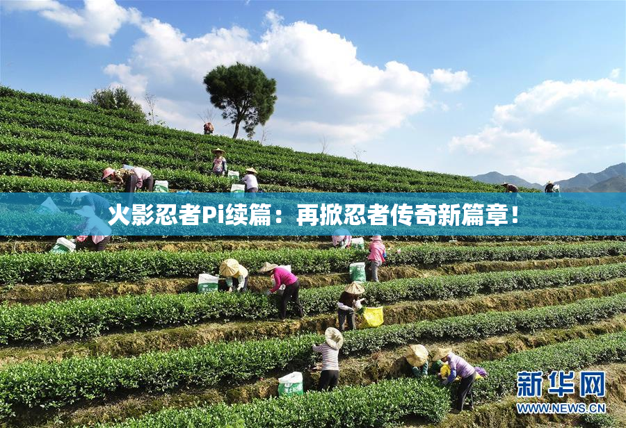 火影忍者Pi续篇：再掀忍者传奇新篇章！