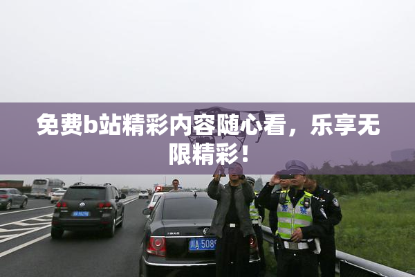 免费b站精彩内容随心看，乐享无限精彩！