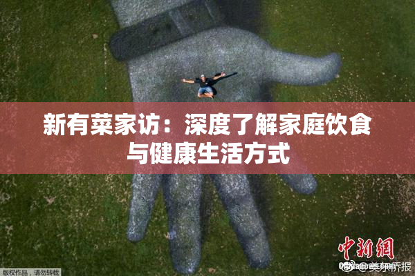 新有菜家访：深度了解家庭饮食与健康生活方式