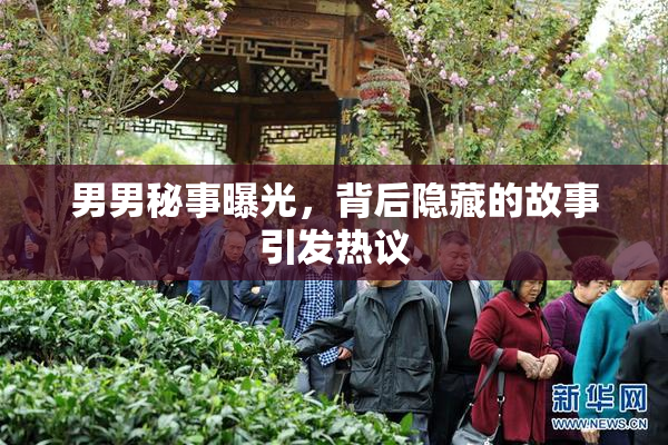 男男秘事曝光，背后隐藏的故事引发热议
